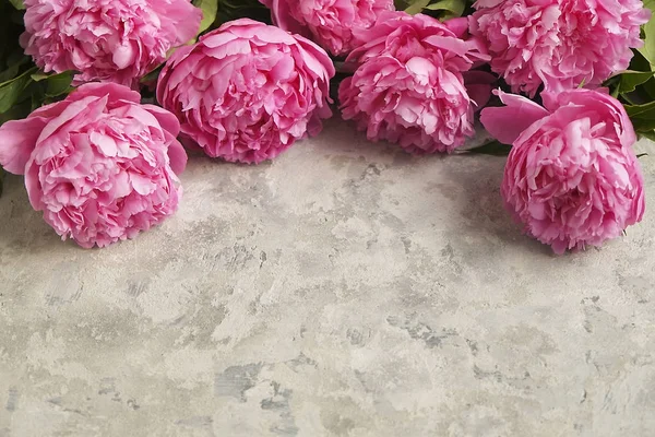 Composizione con bellissimi fiori di peonia su sfondo grigio strutturato — Foto Stock