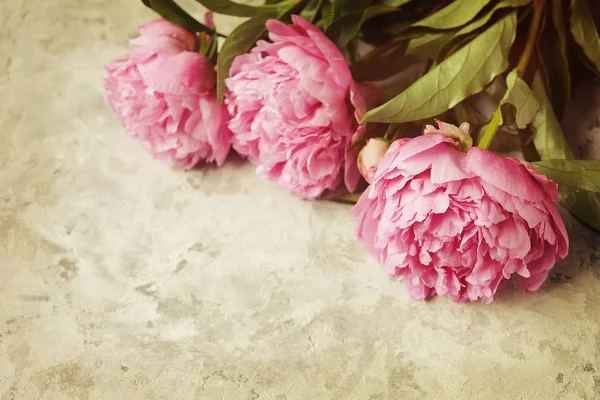 Peônia pétalas e flores em cinza riscado velho artificialmente idade fundo — Fotografia de Stock