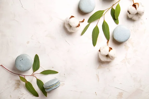 Franska blåbär macarons dessert buiscits på trä vit rosa texturerat bakgrund — Stockfoto