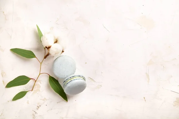 Buiscits de postre de macarrones arándanos franceses sobre fondo texturizado rosa blanco de madera — Foto de Stock