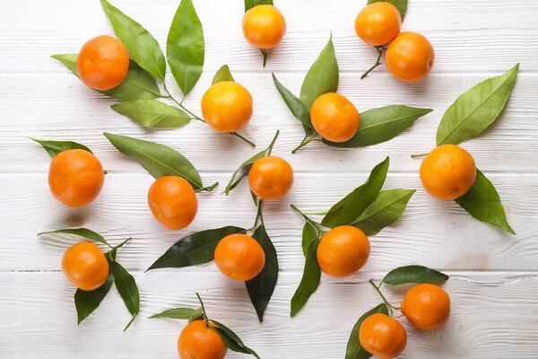 Mandarin Oranges on rustic white wooden background