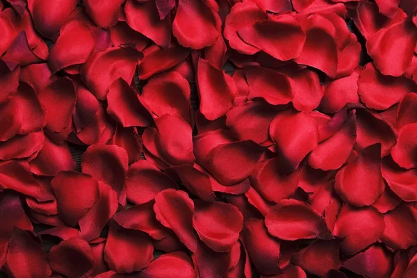 Belas pétalas de rosa vermelha brilhante no fundo de madeira. Feliz dia dos namorados conceito de vendas oliday . — Fotografia de Stock