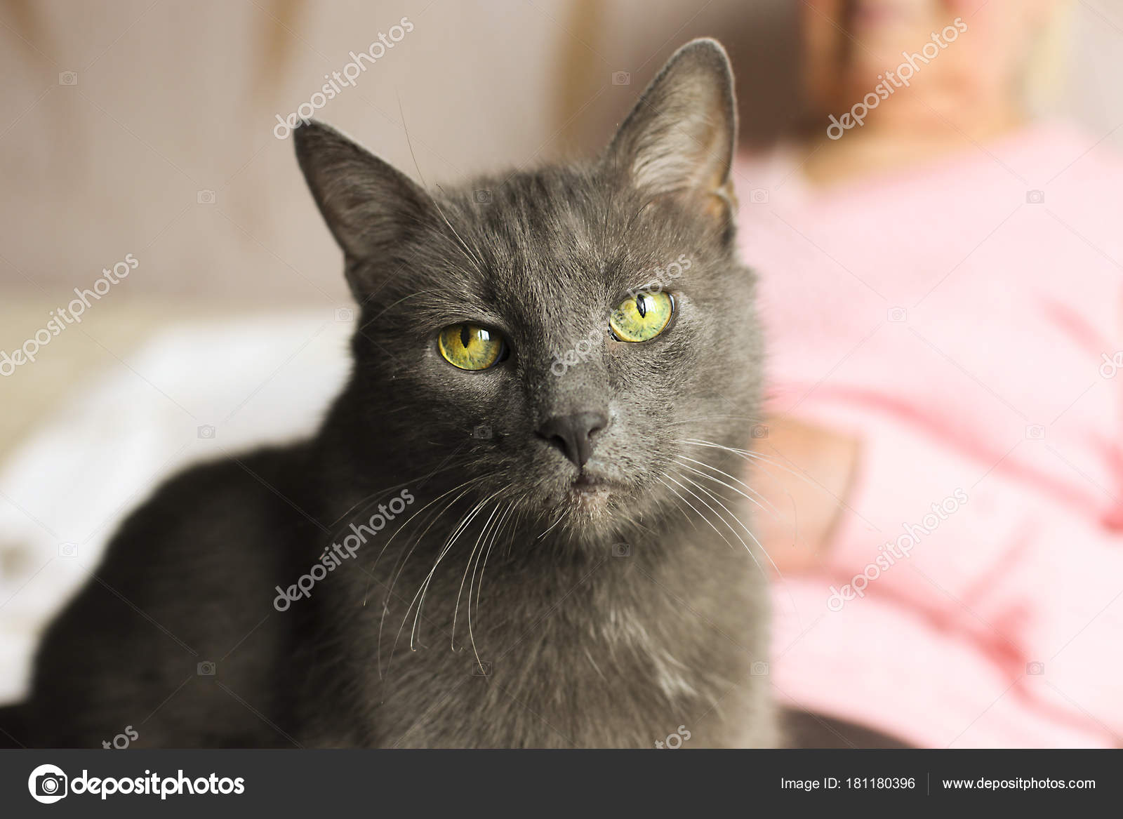 You Wear Pantyhose Underpants Posted Russian Kitty Lady