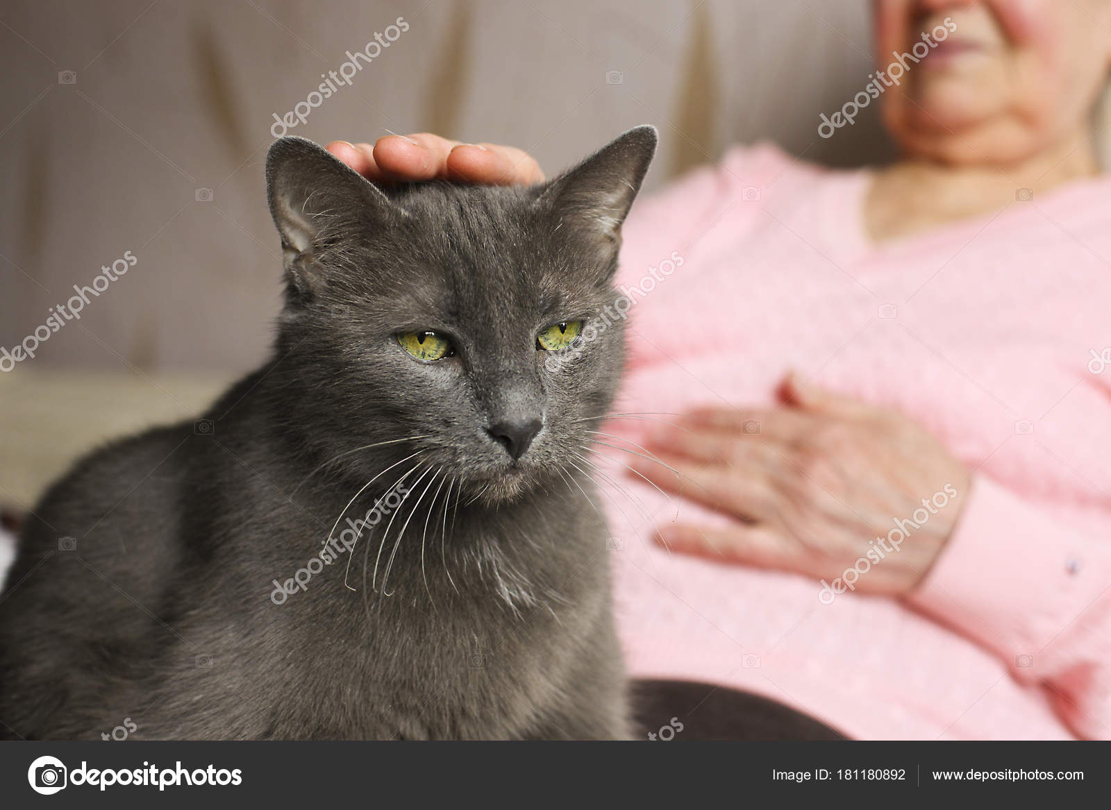 Fuck Her Gently Flash Posted Russian Kitty Lady