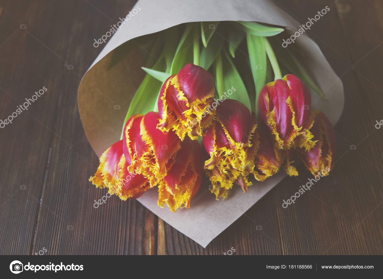 porno-zvezdami-bi-foto-krupnim-planom-onlayn