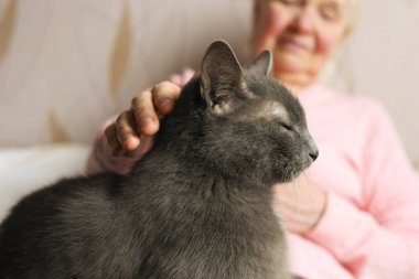 Eski kedi arkadaşı sevişme pembe kazaklı kadın kıdemli.