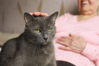 Eski kedi arkadaşı sevişme pembe kazaklı kadın kıdemli.