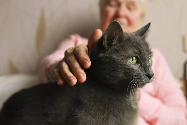 Senior woman in pink sweater petting her old cat friend. — Stock Photo, Image
