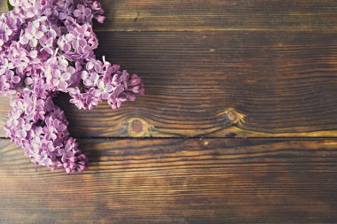 İhale minimalist bahar çiçek kompozisyon doku yüzeyi. Güzel kadınsı bitki dekorasyon tatil tebrik kartı için. Yaz, yaz, ilkbahar, Mart Nisan, Haziran Temmuz. Mutlu anneler günü