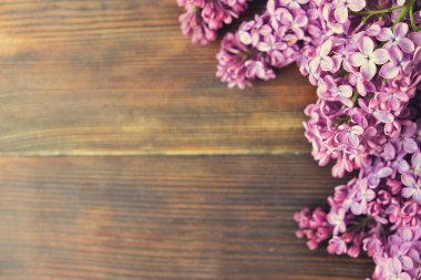 İhale minimalist bahar çiçek kompozisyon doku yüzeyi. Güzel kadınsı bitki dekorasyon tatil tebrik kartı için. Yaz, yaz, ilkbahar, Mart Nisan, Haziran Temmuz. Mutlu anneler günü