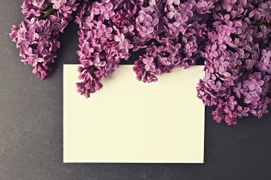 İhale minimalist bahar çiçek kompozisyon doku yüzeyi. Güzel kadınsı bitki dekorasyon tatil tebrik kartı için. Yaz, yaz, ilkbahar, Mart Nisan, Haziran Temmuz. Mutlu anneler günü
