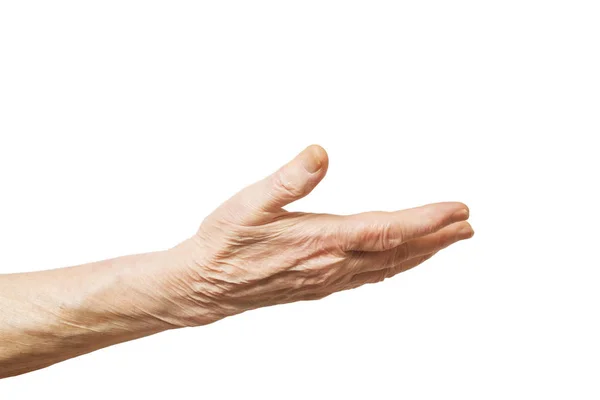 Weibliche Gestensprache, Handzeichen isoliert auf festem weißem Hintergrund. alte Hündin in den siebziger / achtziger Jahren zeigt Arme Unterarme. — Stockfoto