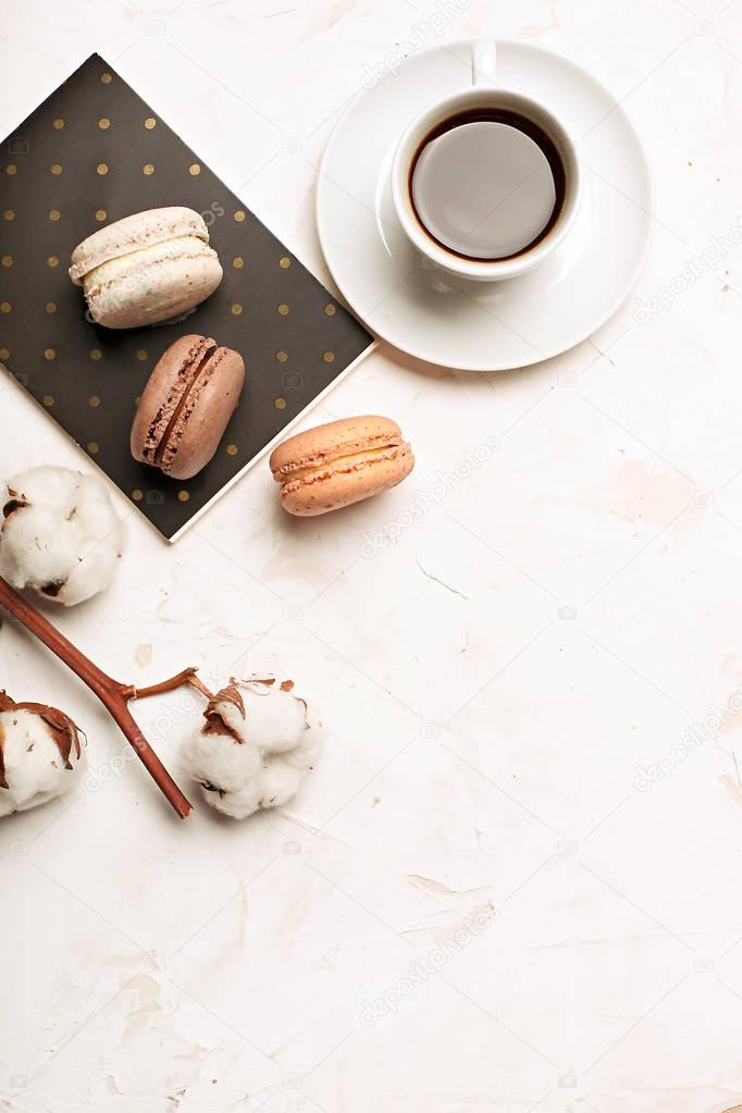 Traditional French almond caramel chocolate cranberry macarons dessert biscuits platter on white gray concrete textured background table top. Tasty but unhealthy food.
