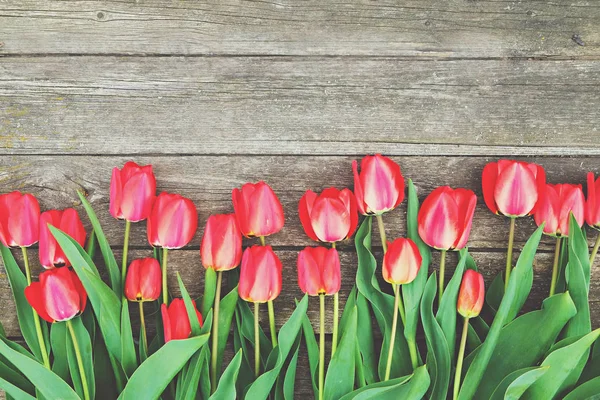 Reihe leuchtend roter Tulpenblüten am Stiel. Holzhintergrund mit Scopy-Textfläche. Willkommen im Frühling und Sommer. Muttertags-Hintergrund, internationaler Frauentag-Gruß. Draufsicht, flache Lage. — Stockfoto