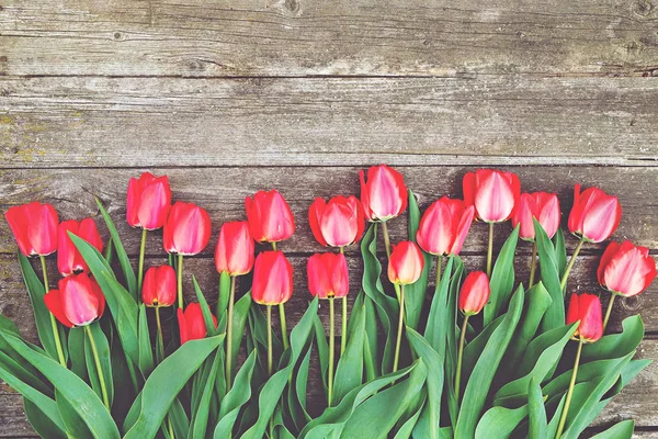 Ряд яскравих багаті червоний tulip квіти на ніжці. Дерев'яні фону з scopy текстом простору. Ласкаво просимо, навесні і влітку. День матері фон, Міжнародний жіночий день привітання. Вид зверху, плоскі мирян. — стокове фото