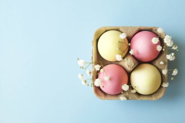 Farklı pastel renk Paskalya yumurta koydu ve beyaz kır çiçekleri ile güzel bileşiminde düzenlenmiştir. Kopya metin alanı ile tebrik kartı.