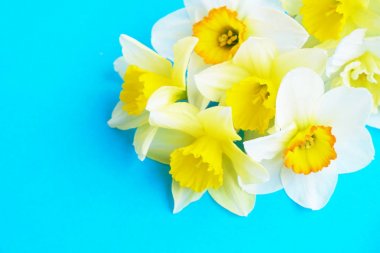 İhale minimalist bahar çiçek kompozisyon doku yüzeyi. Güzel kadınsı bitki dekorasyon tatil tebrik kartı için. Yaz, yaz, ilkbahar, Mart Nisan, Haziran Temmuz. Mutlu anneler günü