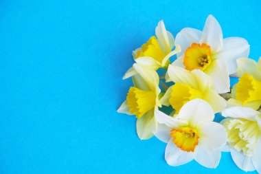 İhale minimalist bahar çiçek kompozisyon doku yüzeyi. Güzel kadınsı bitki dekorasyon tatil tebrik kartı için. Yaz, yaz, ilkbahar, Mart Nisan, Haziran Temmuz. Mutlu anneler günü