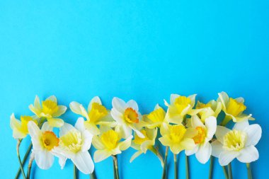 İhale minimalist bahar çiçek kompozisyon doku yüzeyi. Güzel kadınsı bitki dekorasyon tatil tebrik kartı için. Yaz, yaz, ilkbahar, Mart Nisan, Haziran Temmuz. Mutlu anneler günü