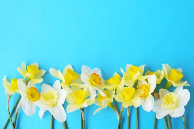 İhale minimalist bahar çiçek kompozisyon doku yüzeyi. Güzel kadınsı bitki dekorasyon tatil tebrik kartı için. Yaz, yaz, ilkbahar, Mart Nisan, Haziran Temmuz. Mutlu anneler günü