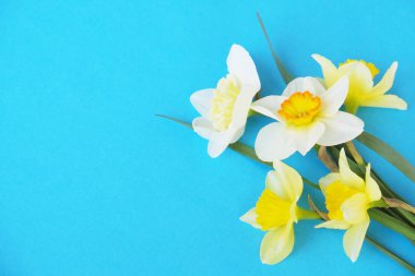 İhale minimalist bahar çiçek kompozisyon doku yüzeyi. Güzel kadınsı bitki dekorasyon tatil tebrik kartı için. Yaz, yaz, ilkbahar, Mart Nisan, Haziran Temmuz. Mutlu anneler günü