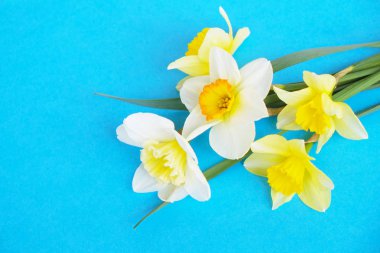 İhale minimalist bahar çiçek kompozisyon doku yüzeyi. Güzel kadınsı bitki dekorasyon tatil tebrik kartı için. Yaz, yaz, ilkbahar, Mart Nisan, Haziran Temmuz. Mutlu anneler günü