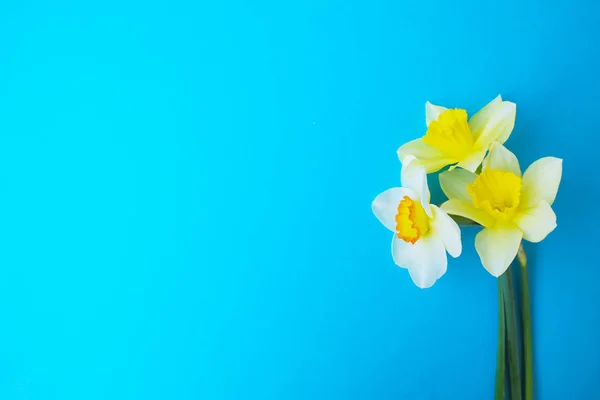 Inschrijving minimalistische lente bloemen samenstelling op textuur oppervlak. Prachtige vrouwelijke plant decoratie voor de wenskaart. Zomer, zomer, lente, maart, april, juni, juli. Gelukkig Moederdag — Stockfoto