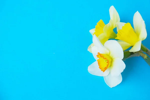 Inschrijving minimalistische lente bloemen samenstelling op textuur oppervlak. Prachtige vrouwelijke plant decoratie voor de wenskaart. Zomer, zomer, lente, maart, april, juni, juli. Gelukkig Moederdag — Stockfoto