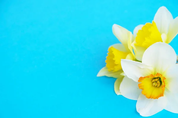 Inschrijving minimalistische lente bloemen samenstelling op textuur oppervlak. Prachtige vrouwelijke plant decoratie voor de wenskaart. Zomer, zomer, lente, maart, april, juni, juli. Gelukkig Moederdag — Stockfoto