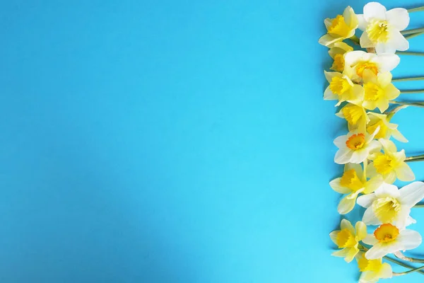 Anbud minimalistisk våren blommor sammansättning på textur yta. Vackra feminina växt dekoration för holiday gratulationskort. Summertime, sommaren, våren, mars, april, juni juli. Glad mors dag — Stockfoto