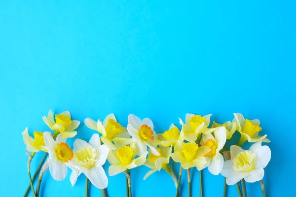 テクスチャ表面に入札のミニマルな春花の組成物。ホリデー グリーティング カードの女性の美しい植物装飾。夏、夏、春、3 月 4 月 6 月 7 月。母の日おめでとう — ストック写真