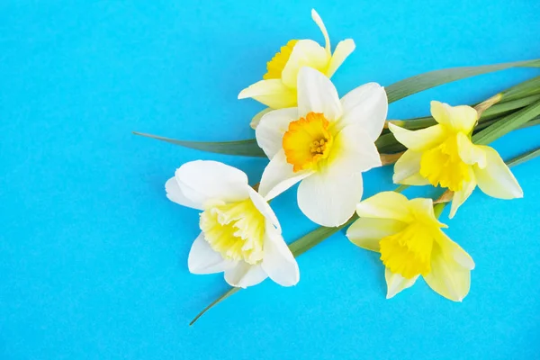 Inschrijving minimalistische lente bloemen samenstelling op textuur oppervlak. Prachtige vrouwelijke plant decoratie voor de wenskaart. Zomer, zomer, lente, maart, april, juni, juli. Gelukkig Moederdag — Stockfoto