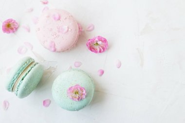 Geleneksel Fransız yaban mersini çilek kızılcık bademli kurabiye tatlı bisküvi beyaz gri beton dokulu arka plan masa üstü güzel çiçek düzenleme ile. Lezzetli ama sağlıksız gıda.