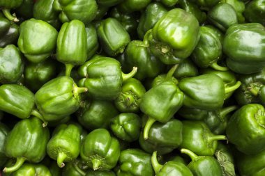İlkbahar Yaz Sebze diyet detoks. Hasat yığını kapat. Temiz ve parlak sebze ürün yelpazesine süpermarket stand.
