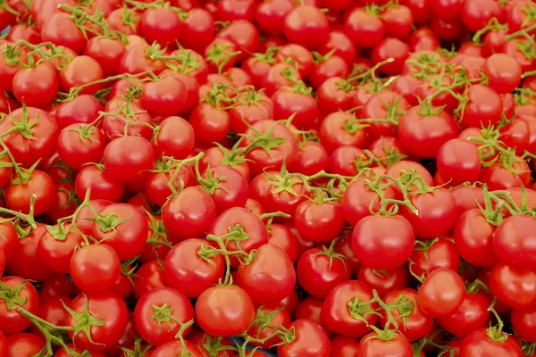İlkbahar Yaz Sebze diyet detoks. Hasat yığını kapat. Temiz ve parlak sebze ürün yelpazesine süpermarket stand.