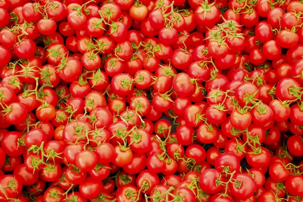 Primavera verano desintoxicación dieta vegetal. Primer plano de la pila de cosecha. Supermercado stand de verduras limpias y brillantes surtido . — Foto de Stock