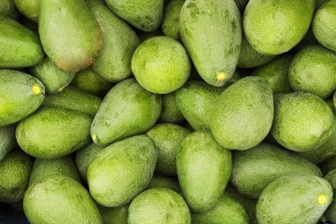 İlkbahar yaz meyve sebze diyet detoks. Hasat yığını kapat. Süpermarket stand temiz ve parlak sebze / meyve ürün yelpazesine sahip. Sağlıklı beslenme kavramı.
