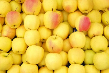 İlkbahar yaz meyve sebze diyet detoks. Hasat yığını kapat. Süpermarket stand temiz ve parlak sebze / meyve ürün yelpazesine sahip. Sağlıklı beslenme kavramı.