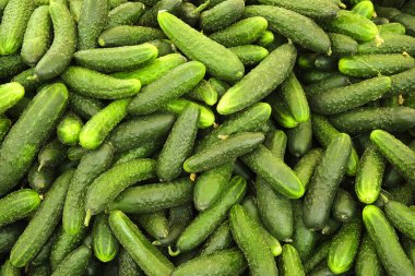 İlkbahar yaz meyve sebze diyet detoks. Hasat yığını kapat. Süpermarket stand temiz ve parlak sebze / meyve ürün yelpazesine sahip. Sağlıklı beslenme kavramı.