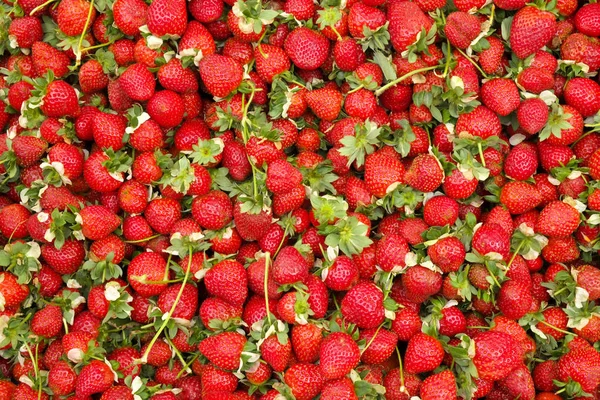 Primavera estate disintossicazione frutta dieta vegetale. Primo piano della pila del raccolto. Supermercato stand di verdure pulite e lucide / assortimento di frutta. Alimentazione sana concetto . — Foto Stock