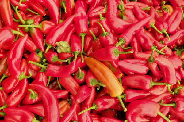 Primavera verano desintoxicación dieta de frutas y verduras. Primer plano de la pila de cosecha. Supermercado stand de verduras limpias y brillantes / surtido de frutas. Concepto de alimentación saludable . — Foto de Stock