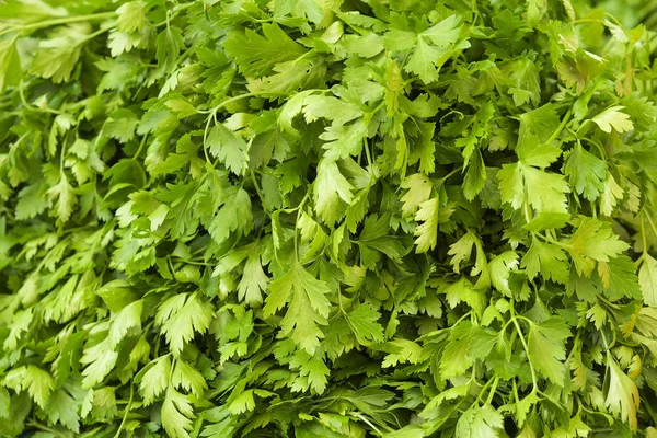 Jaro léto detoxikační dietu zeleniny ovoce. Zblízka se sklizeň hromady. Supermarket stojan čisté a lesklé zeleniny / ovoce sortiment. Zdravé stravovací koncept. — Stock fotografie