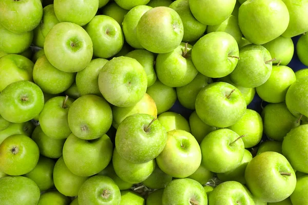 1 272 Indian Jujube Stock Photos Free Royalty Free Indian Jujube Images Depositphotos
