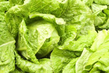 İlkbahar yaz meyve sebze diyet detoks. Hasat yığını kapat. Süpermarket stand temiz ve parlak sebze / meyve ürün yelpazesine sahip. Sağlıklı beslenme kavramı.