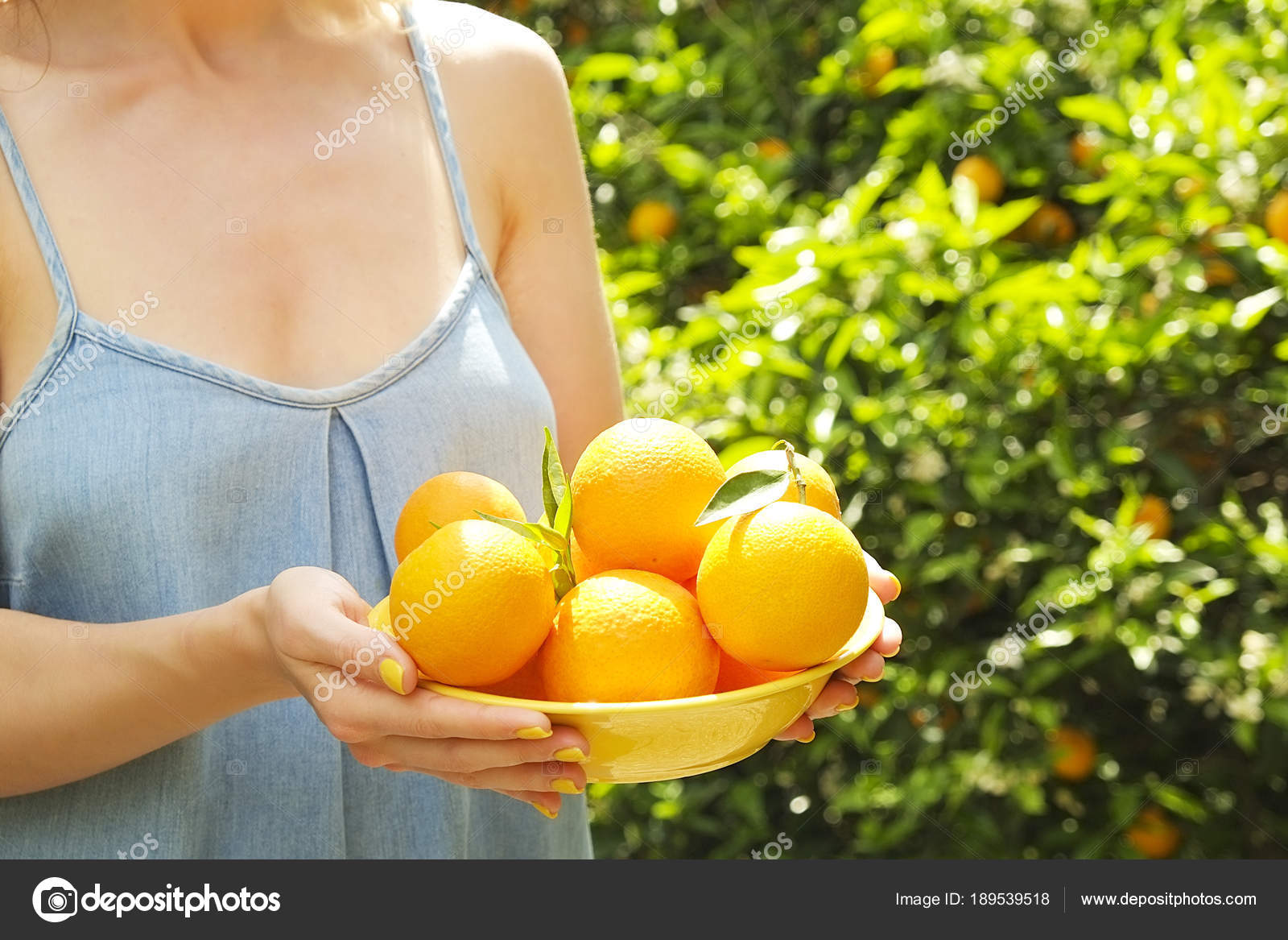 Download 930+ Background Information Of Orange Farm Paling Keren