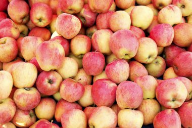 İlkbahar yaz meyve sebze diyet detoks. Hasat pi yakın çekim