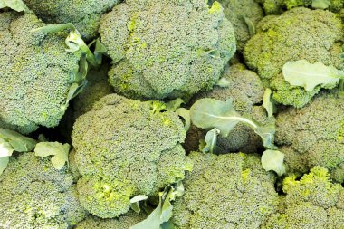 İlkbahar yaz meyve sebze diyet detoks. Hasat pi yakın çekim