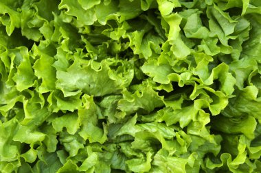 İlkbahar yaz meyve sebze diyet detoks. Hasat yığını kapat. Süpermarket stand temiz ve parlak sebze / meyve ürün yelpazesine sahip. Sağlıklı beslenme kavramı.