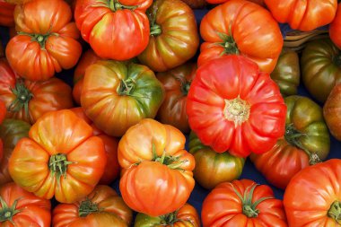 Bac üzerinde karışık kırmızı ve sarı kiraz ve İtalyan domates demet