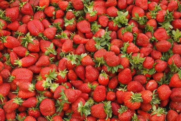 Spring summer detox fruit vegetable diet. Close up of harvest pile. Supermarket stand of clean and shiny vegetables / fruits assortment. Healthy eating concept.